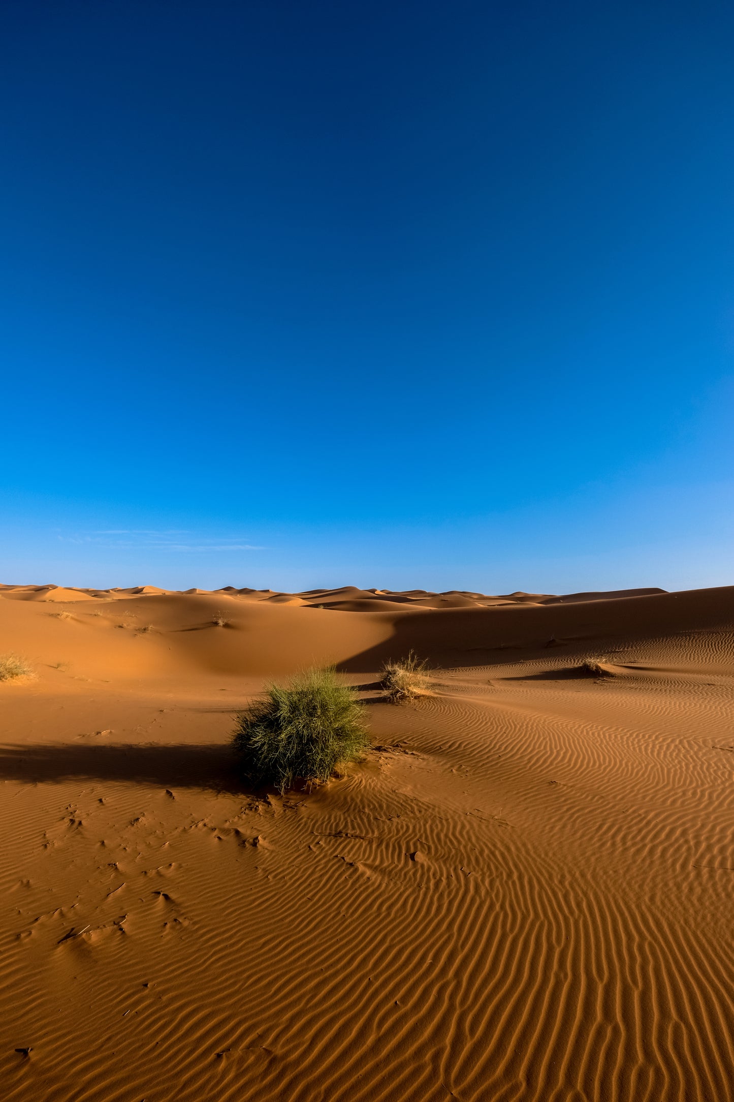 Salalah Luxury Retreat – 5 Nights Trip of Tranquility & Exploration