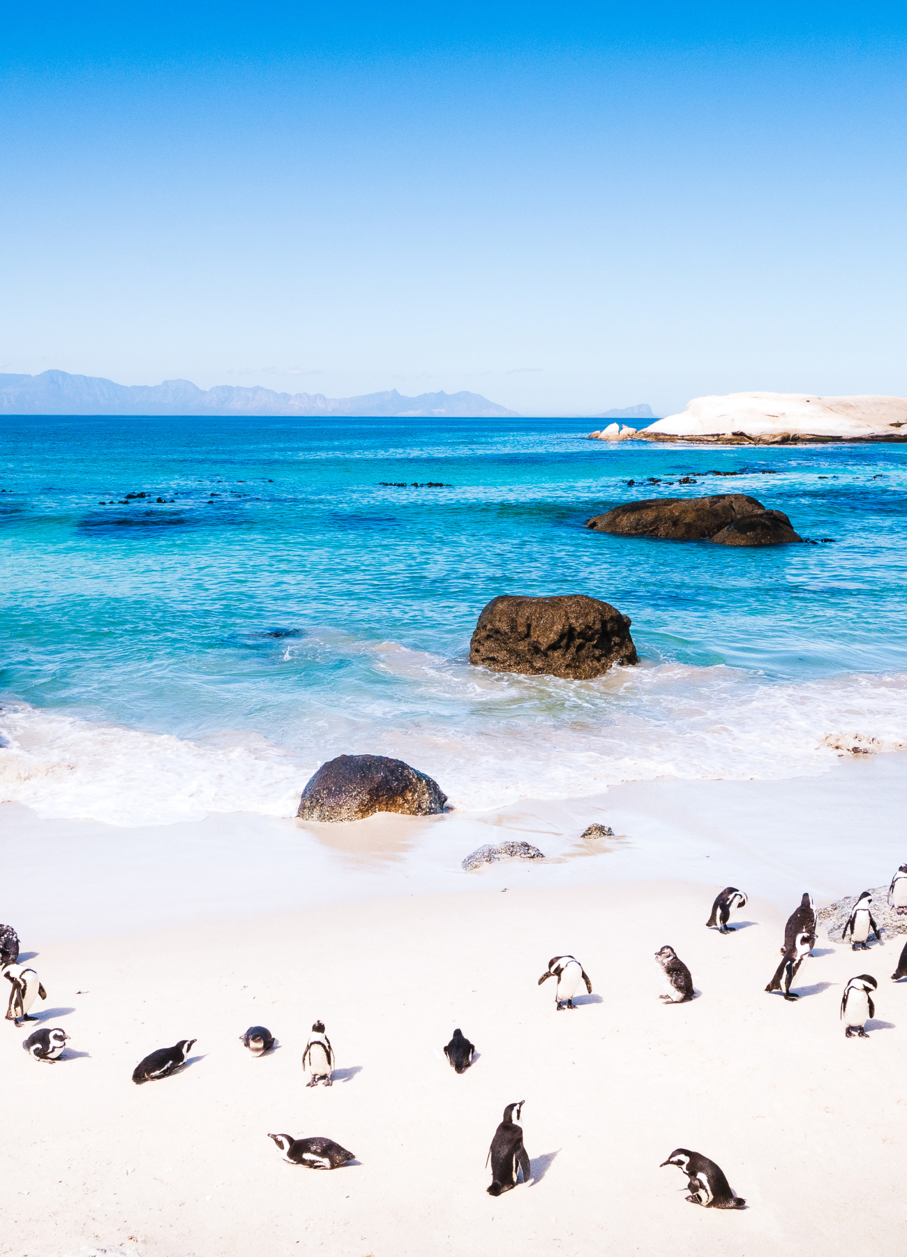 7 Days Mauritius & Cape Town – The Ultimate Nature & Island Escape - Trip Code - 1023-MCT-SAF25